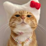 Trọng Sinh: Chu Gia Chọn Nhầm Người